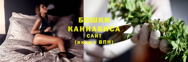 стаф Верхний Тагил