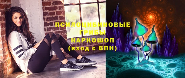 стаф Верхний Тагил