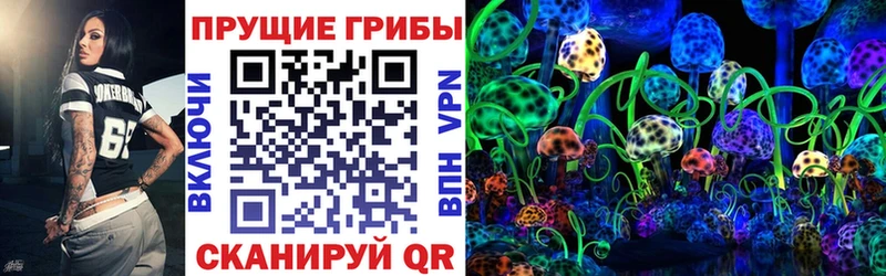 купить   Дмитров  Галлюциногенные грибы ЛСД 